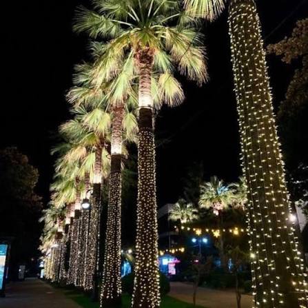 Tree Lighting Dubai Hills